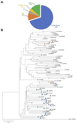 High-level resistance to non-nucleos(t)ide reverse transcriptase inhibitor based first-line antiretroviral therapy in Ghana; A 2017 study